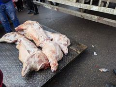 猪肉-重振华中蔬菜批发市场(重庆中路店)