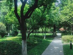 -南京中国近代史遗址博物馆(南京总统府)