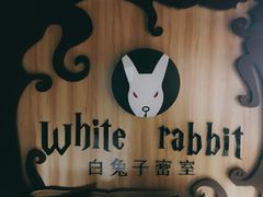-白兔子密室(长寿路店)