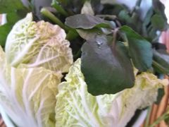 -蚝羊氣惠来羊肉火锅·高压锅生蚝