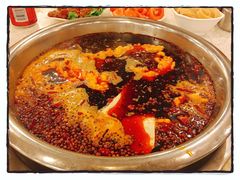 -朱氏胖子烂火锅(洪崖洞店)