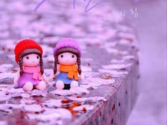 -高东镇樱花园