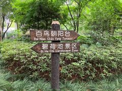 -汇龙潭