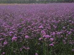 漩门湾国家湿地公园-漩门湾国家湿地公园