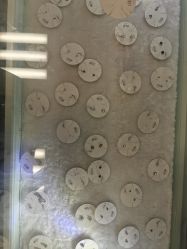 -AI艾耳·专业手工耳洞·穿孔美学馆