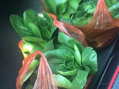 -南汇老顾农家乐采摘大团水蜜桃采摘店