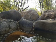 -咸宁万豪温泉谷度假区