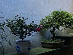 -绍兴鲁迅故里·沈园景区