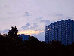 -郑州植物园