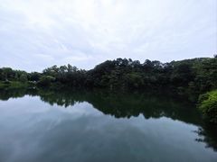 -王借岗森林公园