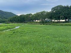 -风云岭森林公园