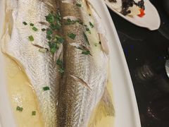 清蒸白鱼-锡和无锡菜(景丽苑店)