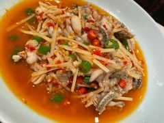 -孔雀云贵川·融合菜(长宁来福士店)
