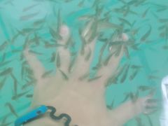 -天山海世界·米立方