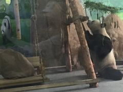 -临沂动植物园