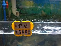 -广州海鲜酒楼(长丰园店)