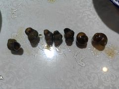 -呼吸森林·生态农庄农家乐私房菜