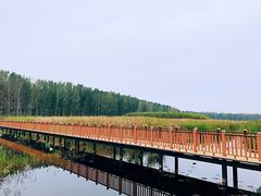 -白洋淀景区