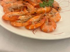 白灼罗氏虾-山泉公馆酒家(珠江新城店)