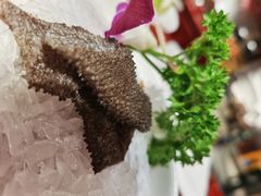 鲜毛肚-黄家码头老火锅(解放碑旗舰店)