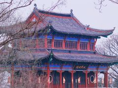 -龟山风景区-龟山电视塔