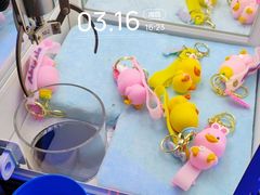 -星舰梦航(广百广场荔胜店)