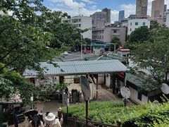 -昆明动物园