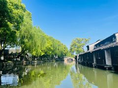 -乌镇东栅景区