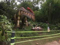 -自然谷恐龙园