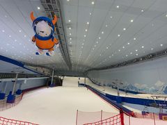 -哈尔滨热雪奇迹