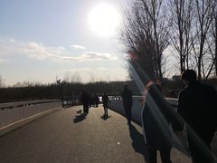 -东郊湿地公园