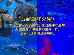 -巧克力渔家.小船海鲜胶东菜(万平口店)