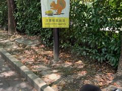 -上海佘山茂御臻品之选酒店(原佘山艾美酒店)