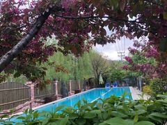 -东汤温泉·在水一方