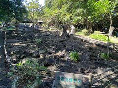 -海口火山口国家地质公园