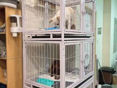 -宠物梦想家(日月豪庭店)