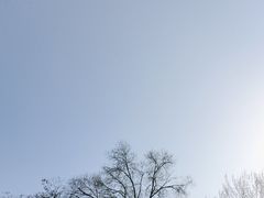 -森林公园(尖草坪区)