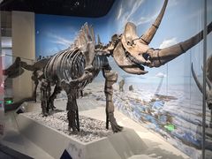 -国家自然博物馆