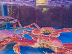 -The Boiling Crab宝灵蟹手抓海鲜(中国首店)