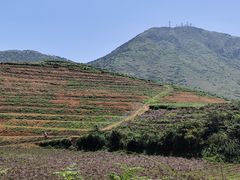 -嵛山岛