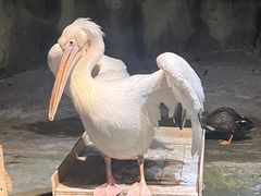 -绿色星球动物主题公园