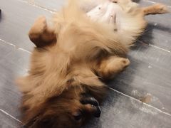 -A+摄影