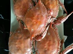 -大锅强·蒸海鲜青岛菜(吾悦广场店)