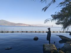 -才村湿地公园