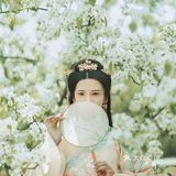 春季桃花拍照教程