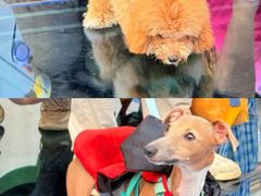 -华谊兄弟（长沙）电影小镇