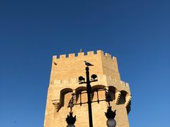 -瓦伦西亚大教堂