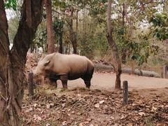 -清迈夜间动物园