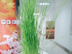 -学习谷日语培训日本留学·多语种外语教学(海淀人大分部)