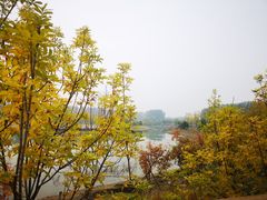 -东郊湿地公园